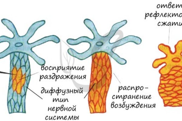 Https megaruzxpnew4af onion tor com